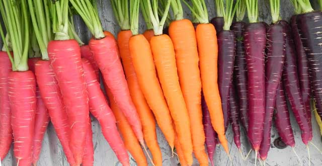 Zanahoria beneficios nutricion